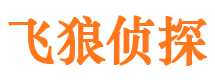 井陉县出轨调查